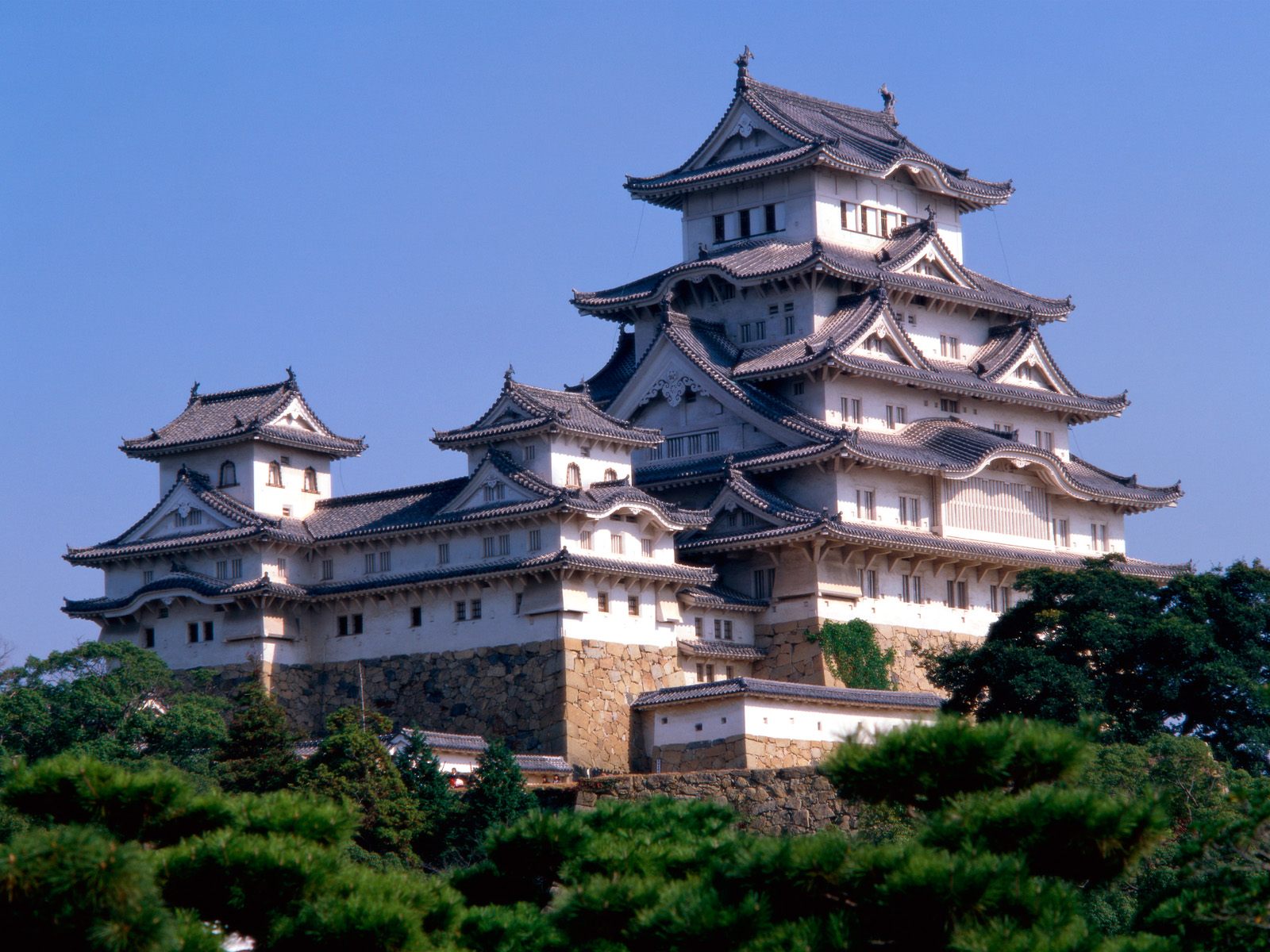 chateau Himeji de la periode Sengoku